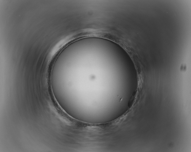 X0000111640150200907311301