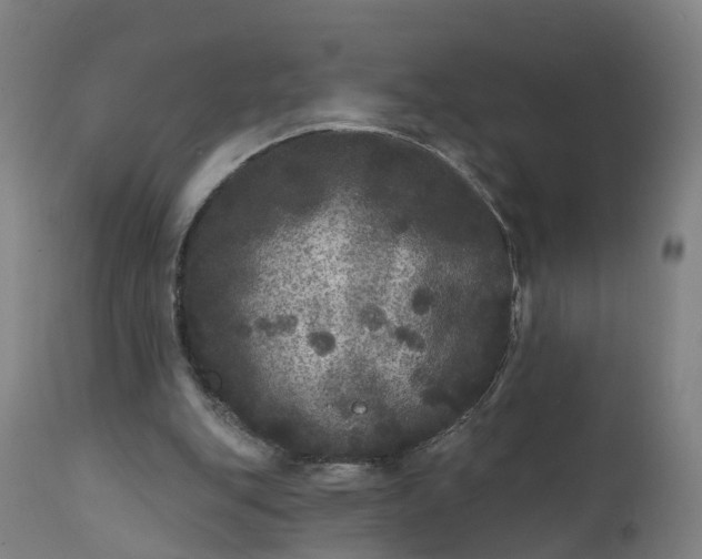 X0000111640151200907311301