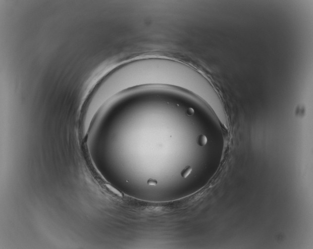 X0000111640152200907311301