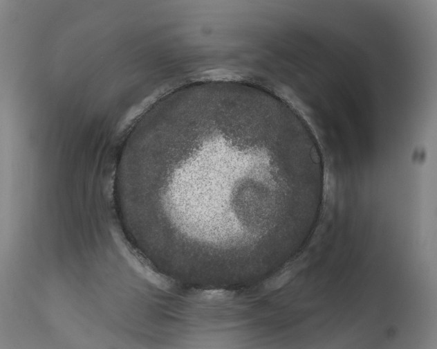 X0000111640153200907311301