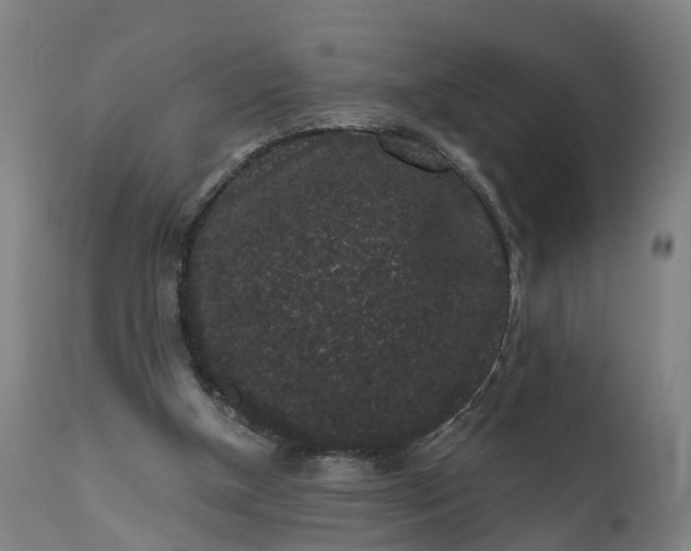 X0000111640154200907311301