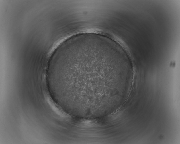 X0000111640155200907311301