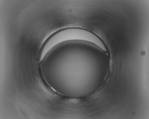 X0000111640156200907311301