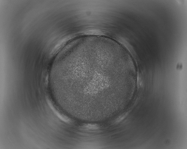 X0000111640157200907311301