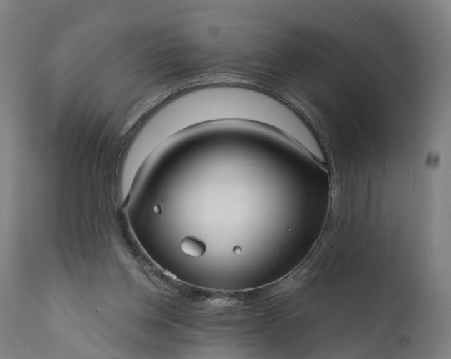 X0000111640158200907311301