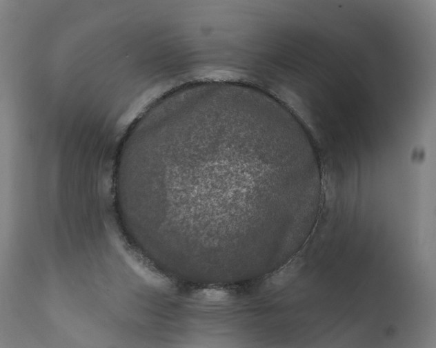 X0000111640159200907311301