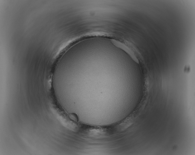 X0000111640160200907311301