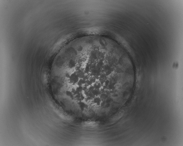 X0000111640161200907311301