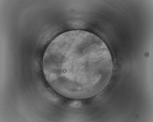 X0000111640162200907311301