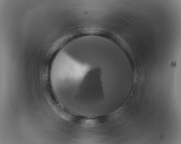 X0000111640163200907311301