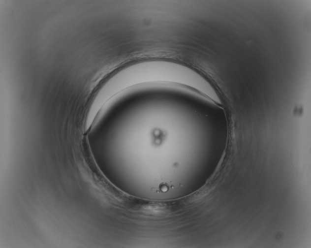 X0000111640164200907311301