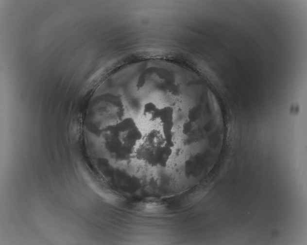 X0000111640165200907311301