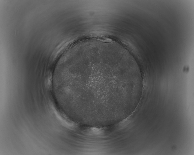 X0000111640166200907311301