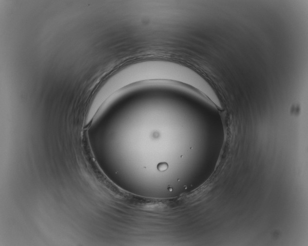 X0000111640168200907311301