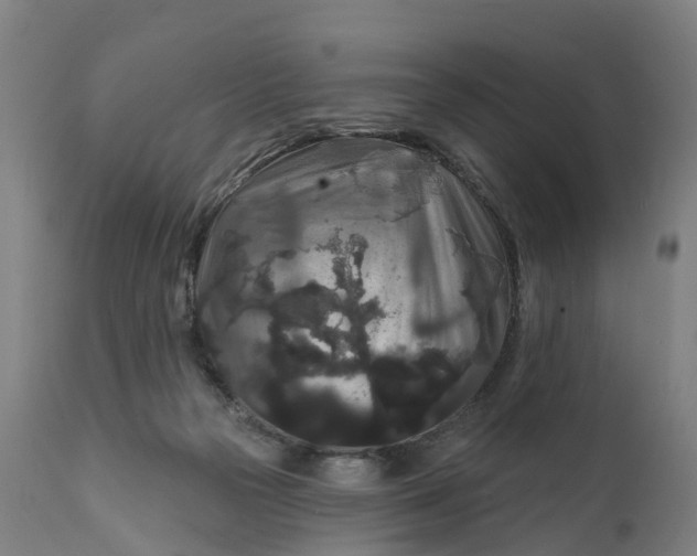 X0000111640169200907311301