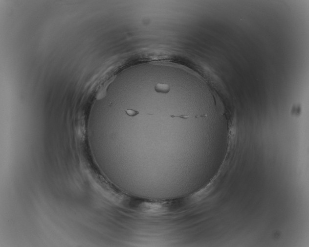 X0000111640170200907311301