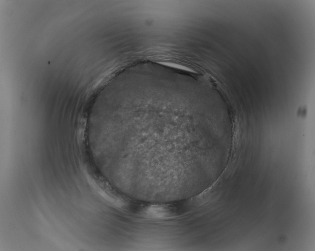 X0000111640171200907311301