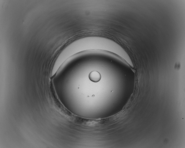 X0000111640172200907311301