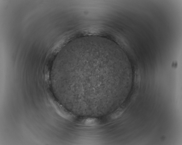 X0000111640173200907311301