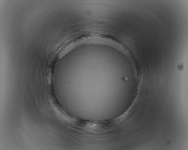 X0000111640174200907311301