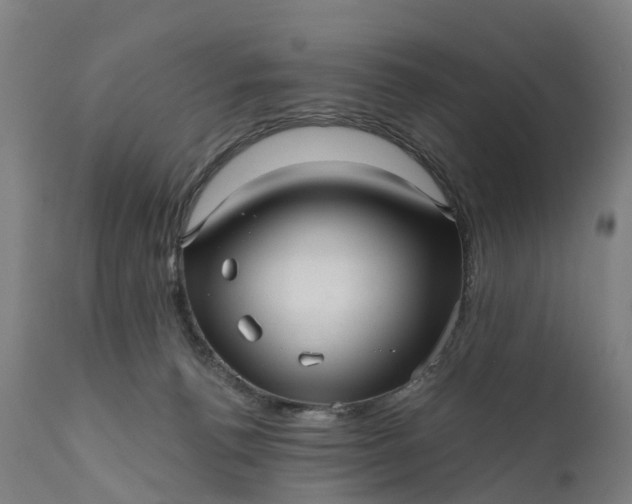 X0000111640176200907311301