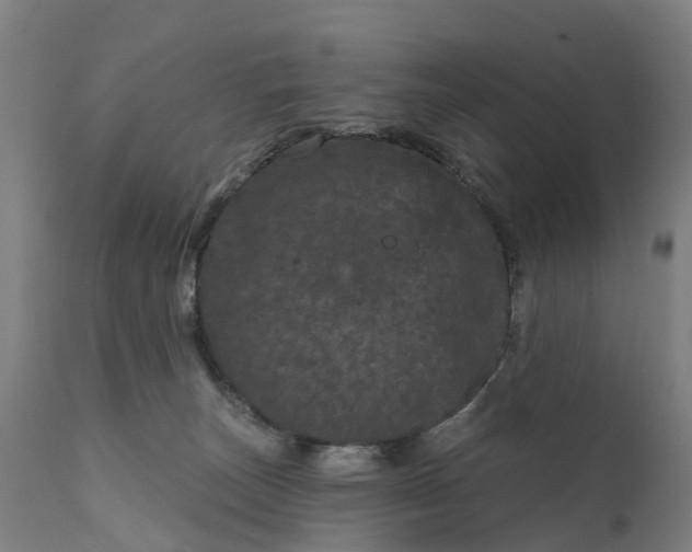 X0000111640179200907311301