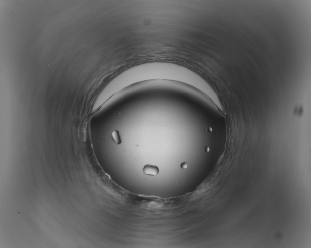 X0000111640180200907311301