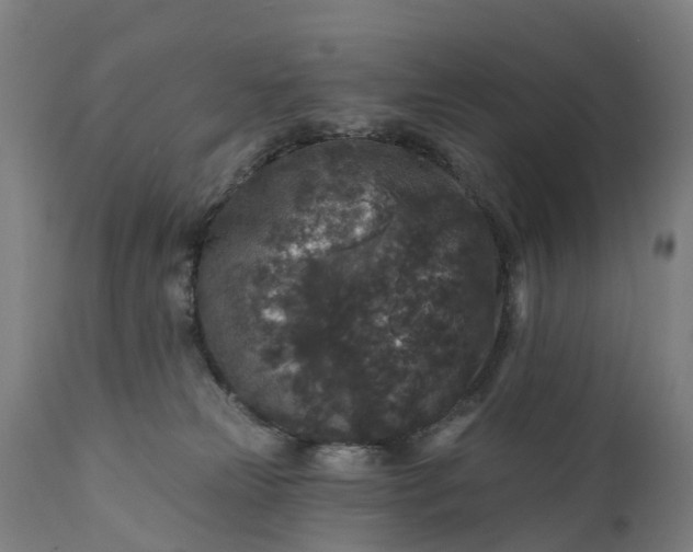 X0000111640181200907311301