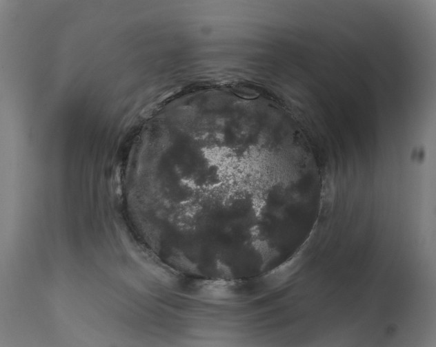 X0000111640182200907311301