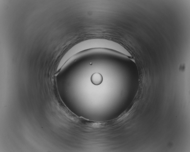 X0000111640184200907311301