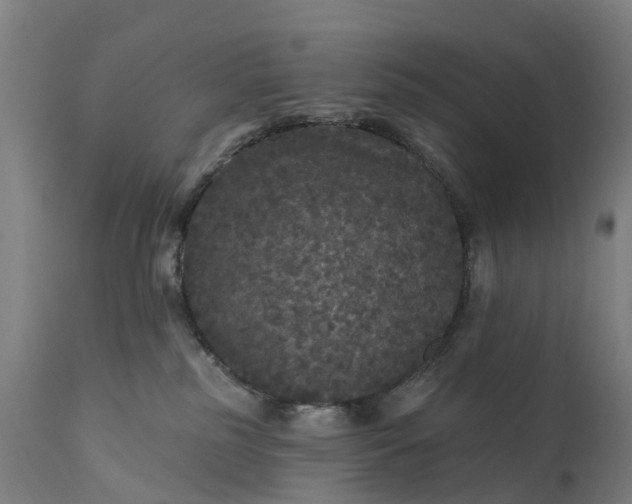 X0000111640185200907311301