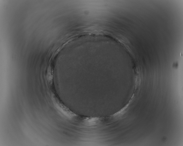 X0000111640186200907311301