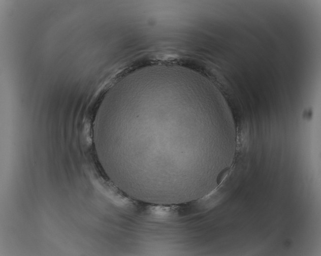 X0000111640187200907311301