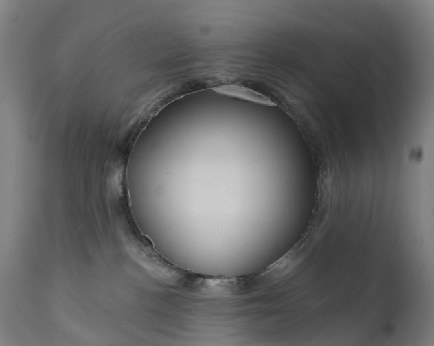 X0000111640188200907311301