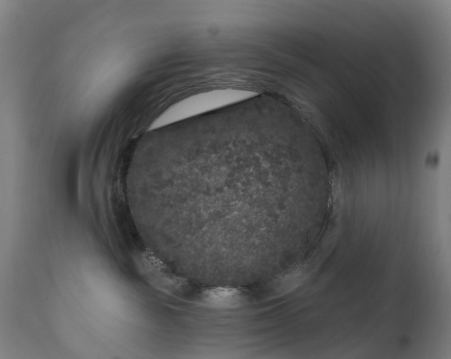 X0000111640189200907311301