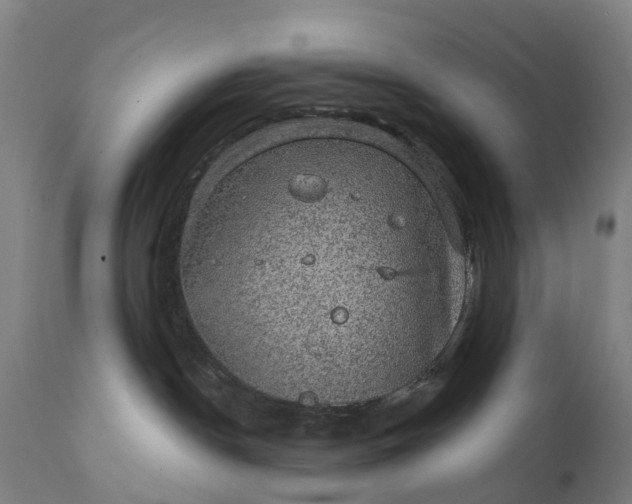 X0000111640190200907311301