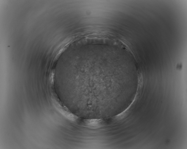 X0000111640191200907311301