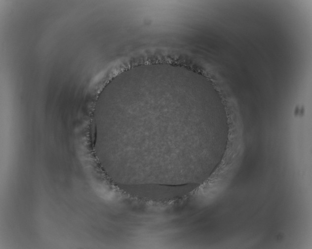 X0000111640192200907311301