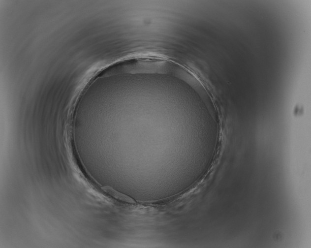 X0000111640193200907311301