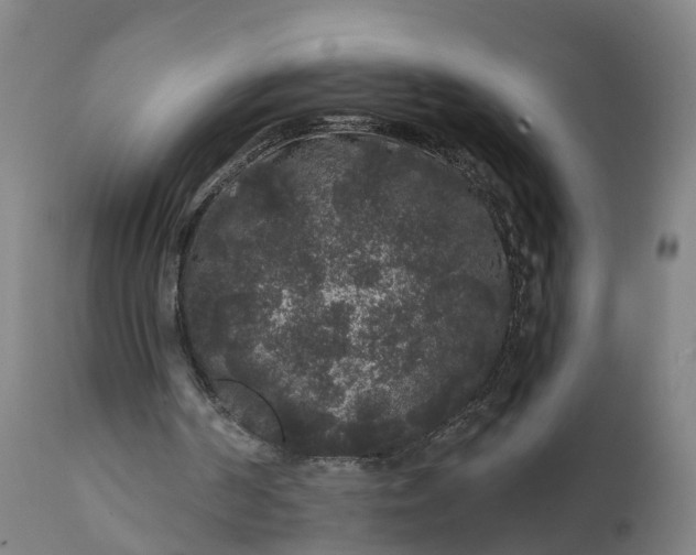 X0000111640194200907311301