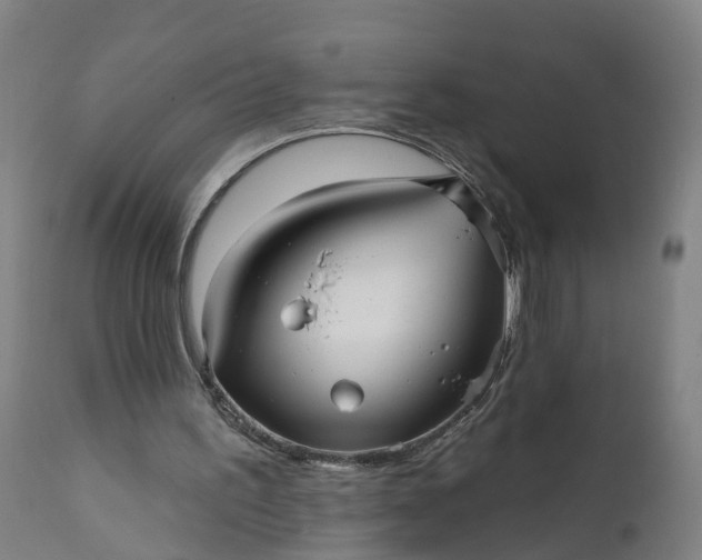 X0000111640195200907311301