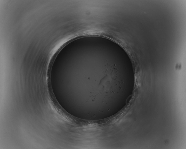 X0000111640196200907311301