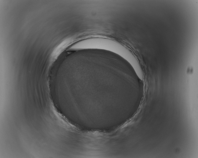 X0000111640197200907311301