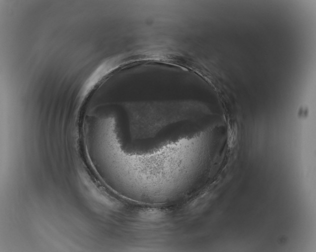 X0000111640198200907311301