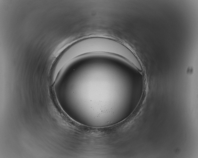 X0000111640199200907311301