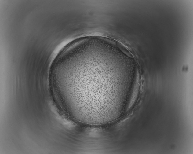 X0000111640200200907311301