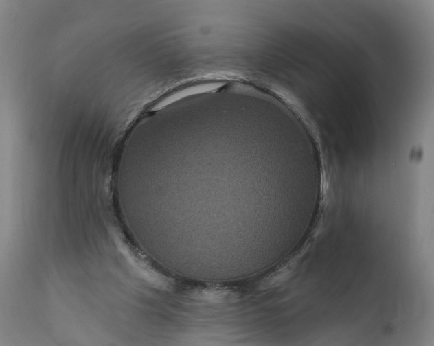 X0000111640201200907311301