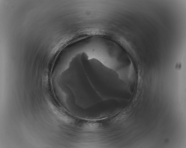 X0000111640202200907311301