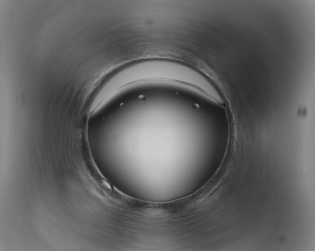 X0000111640203200907311301