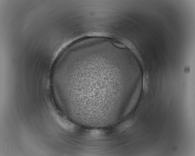 X0000111640204200907311301